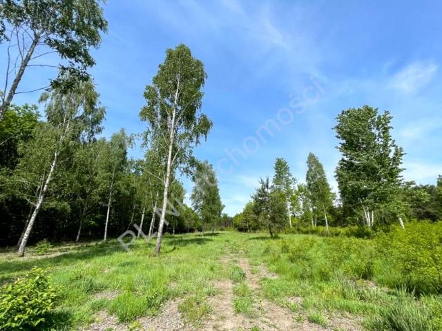Działka 1 000 m², Ojrzanów