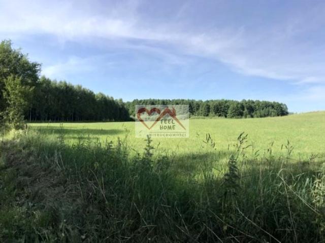Działka 1 000 m², Michałki