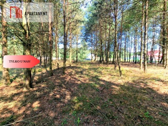 Działka 1 000 m², Miedzno