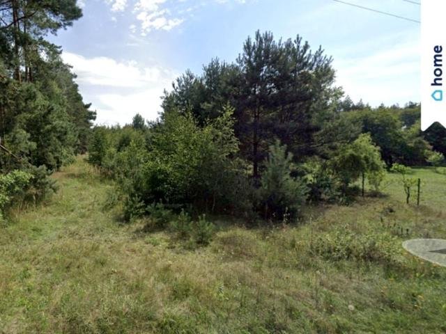 Działka 1 000 m², Niezgoda