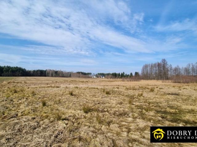 Działka 1 000 m², Skrybicze