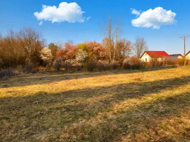 Działka 1 000 m², Stara Dąbrowa