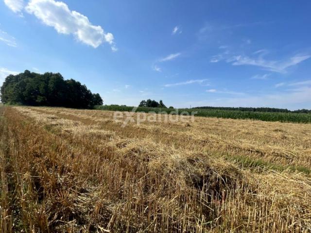 Działka 1 000 m², Stropieszyn