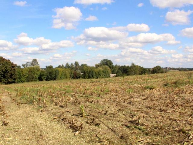 Działka 1 000 m², Sława