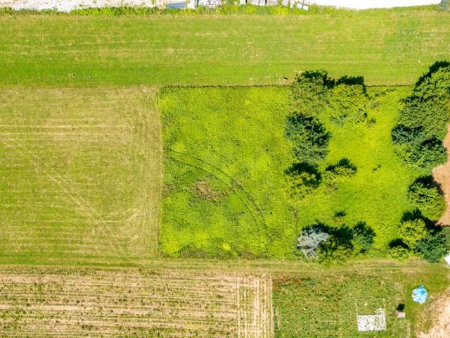 Działka 1 000 m², Rożnów