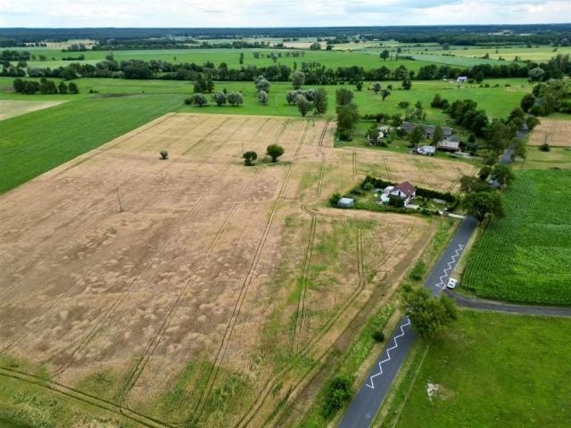 Działka 1 000 m², Rojewice