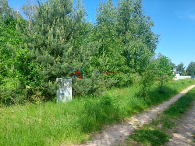 Działka 1 000 m², Rusiec