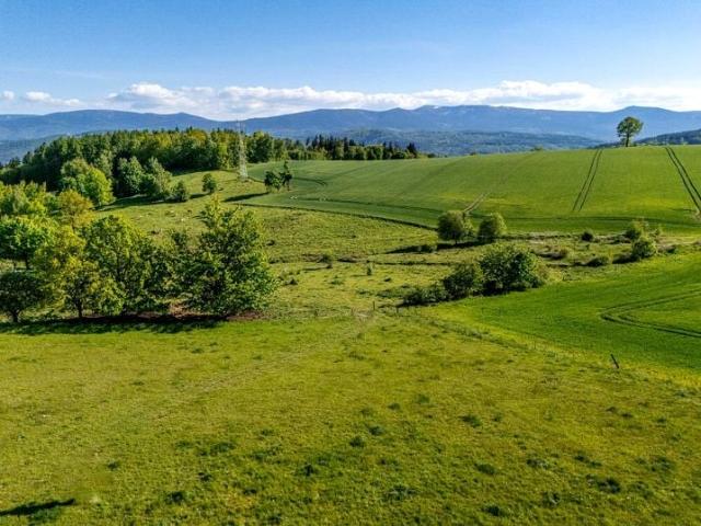 Działka 1 043 m², Wojcieszyce