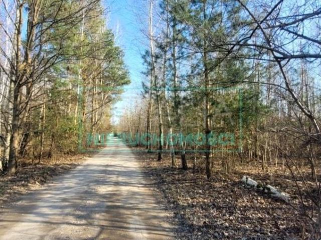 Działka 1 000 m², Wycinki Osowskie