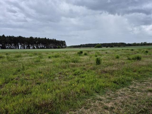 Działka 1 001 m², Grzędzice