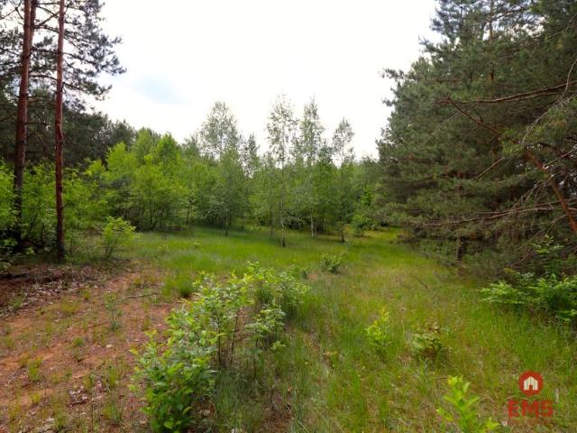 Działka 1 001 m², Płaska
