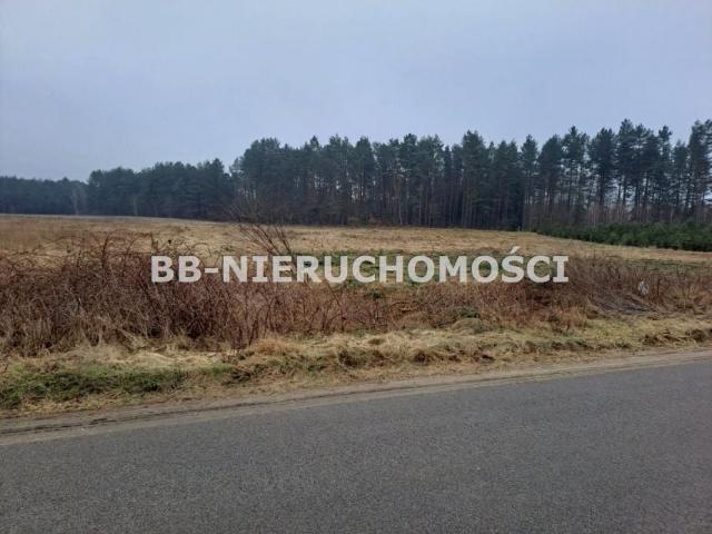 Działka 1 001 m², Woryty