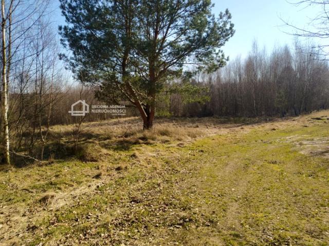 Działka 1 019 m², Salinko
