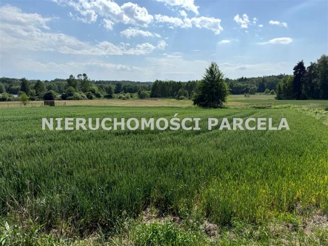 Działka 1 027 m², Jastrzębie Zdrój