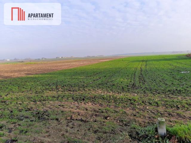 Działka 1 073 m², Kania