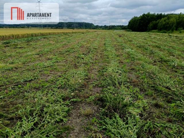 Działka 1 031 m², Kraśniewo