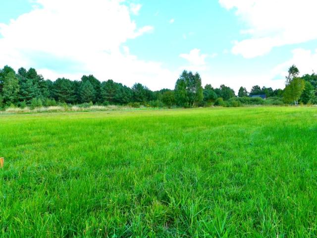Działka 1 044 m², Skrybicze