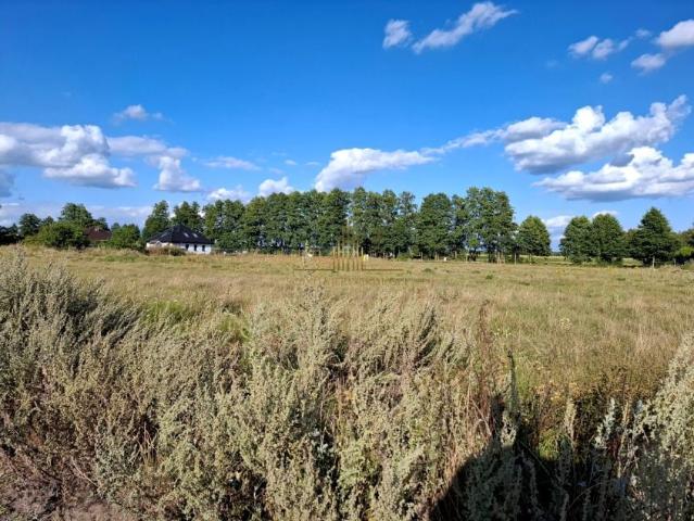 Działka 1 040 m², Kruszyn Krajeński