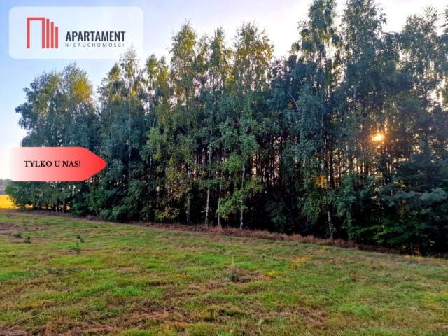 Działka 1 059 m², Czarże
