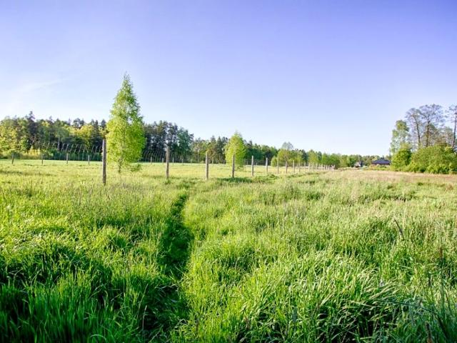 Działka 1 059 m², Niewodnica Korycka