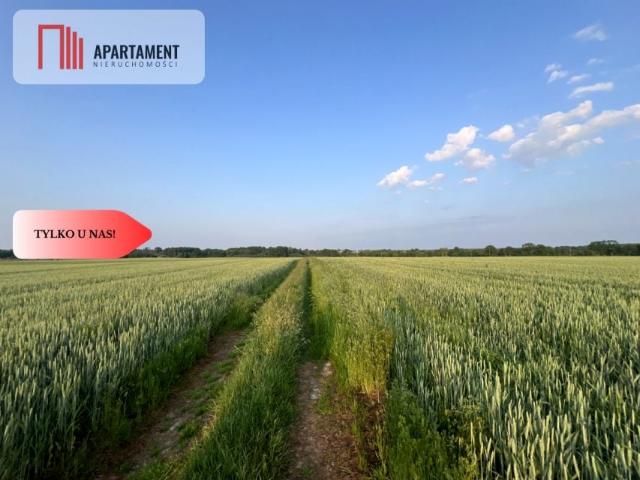 Działka 1 050 m², Kruszyn