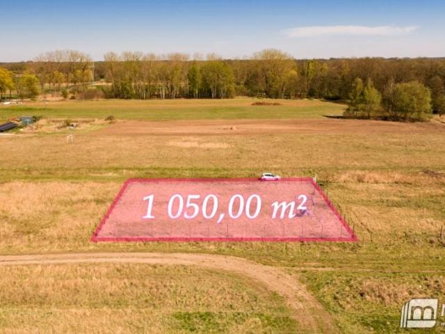 Działka 1 050 m², Rożnowo Nowogardzkie