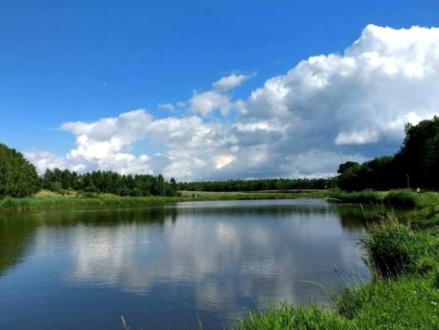 Działka 1 052 m², Grodzisko