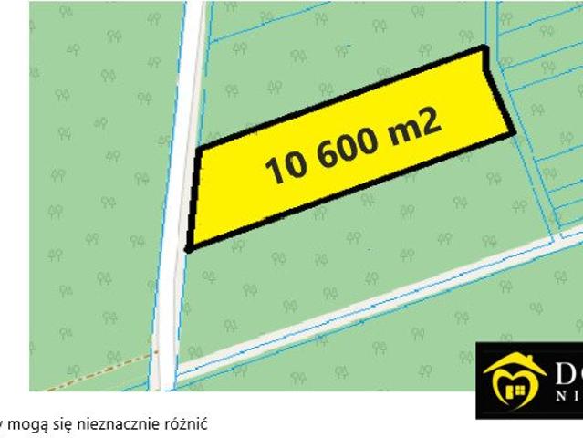 Działka 1,06 ha z lasem, rekreacja i pasieka