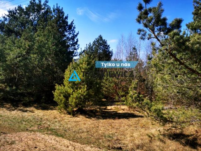 Działka 1 098 m², Nowa Kiszewa