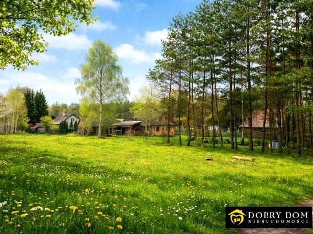 Działka 1 109 m², Białowieża