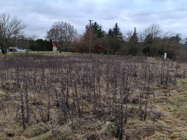 Działka 1 100 m², Chomiąża Szlachecka