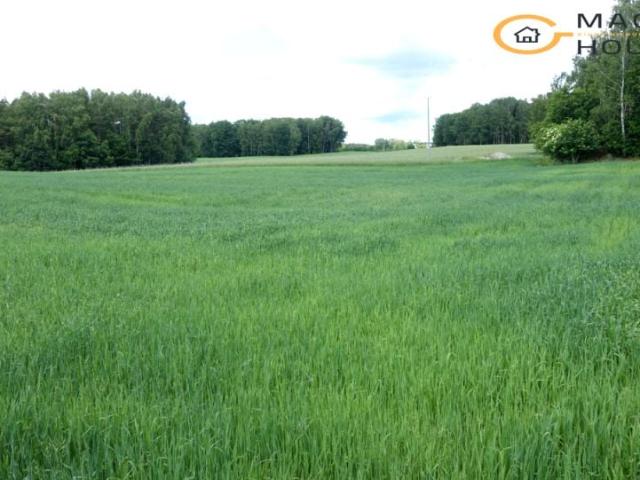Działka 1 100 m², Kowalewo