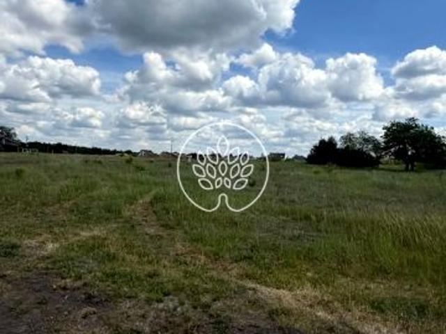 163808 1 100 m², Łochowo