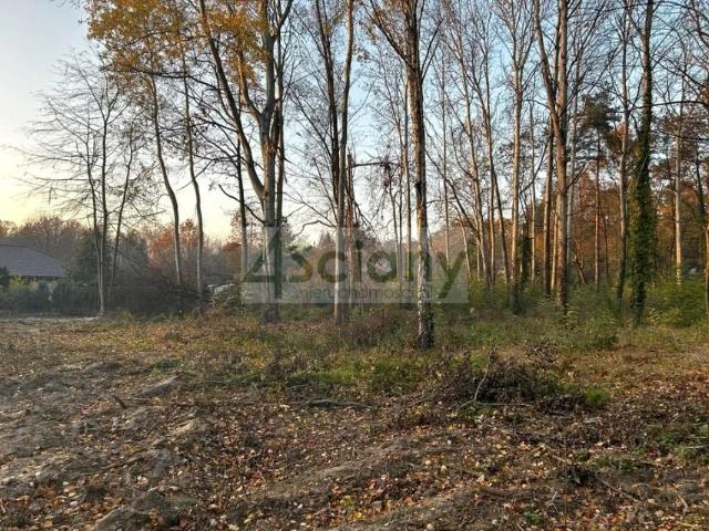 Działka 1 100 m², Podkowa Leśna