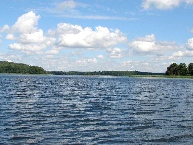 Działka 1 115 m², Dąbrowica