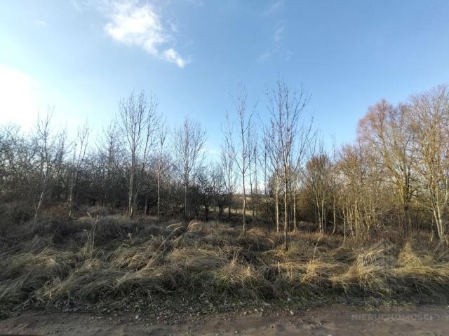 Działka 1 110 m², Siadło Dolne