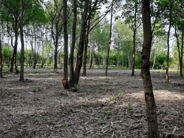 Działka 1 113 m², Słubica Dobra