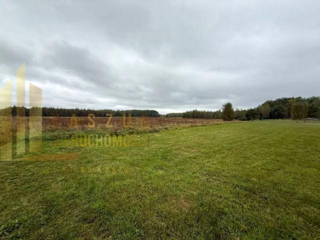 Działka 1 125 m², Biedrzychowice Dolne
