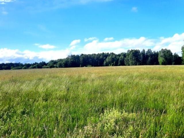 Działka 1 128 m², Łubniki