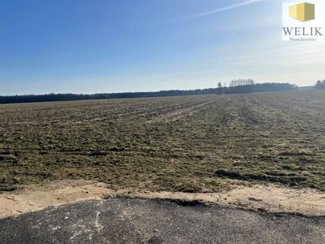 Działka 1 139 m², Woroniec