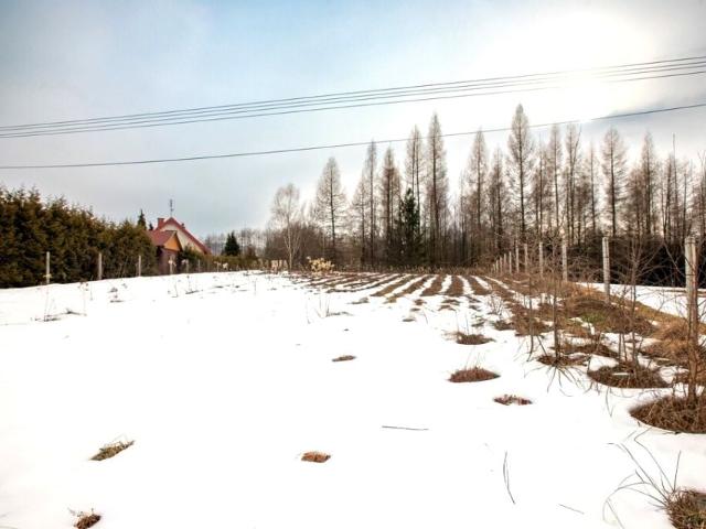 Działka 1 131 m², Joniny