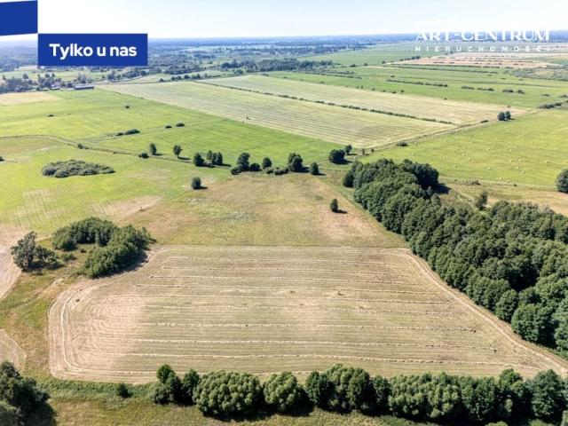Działka 1 145 m², Nowe Dąbie