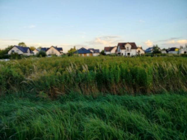 Działka 1 143 m², Krzyżanowice