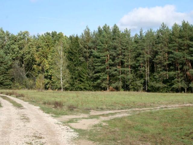 Działka 1 154 m², Zabielne