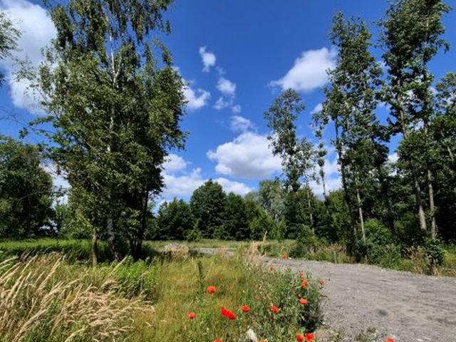 Działka 1 151 m², Juliopol