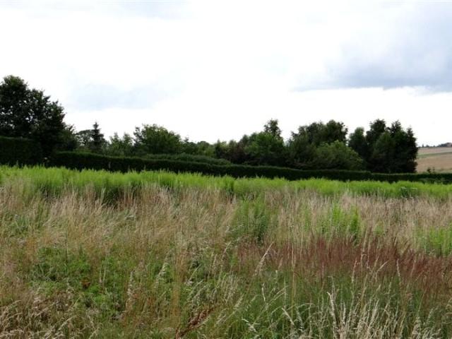 Działka 1 169 m², Zielonki