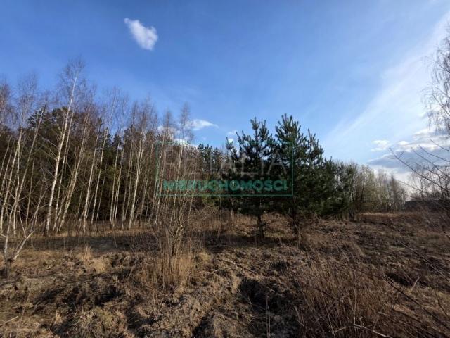 Działka 1 160 m², Ojrzanów
