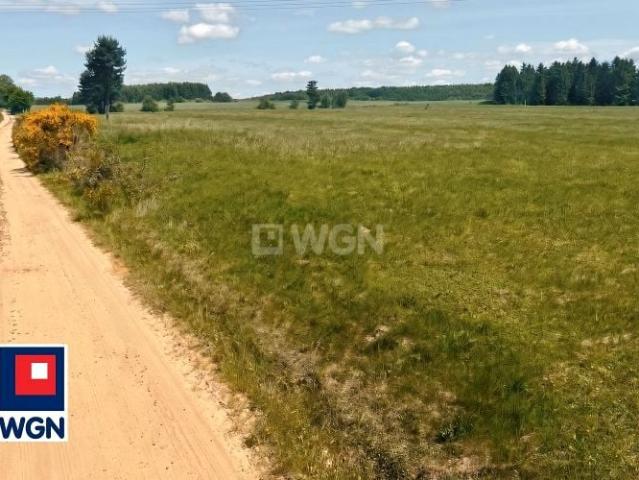 Pogodna 3 532 m², Głobino