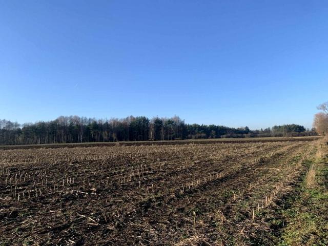 Działka 1 175 m², Koło