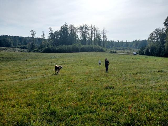 Działka 1 177 m², Ostrowin